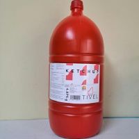 GARRAFA KETCHUP 4.875ML 2UD